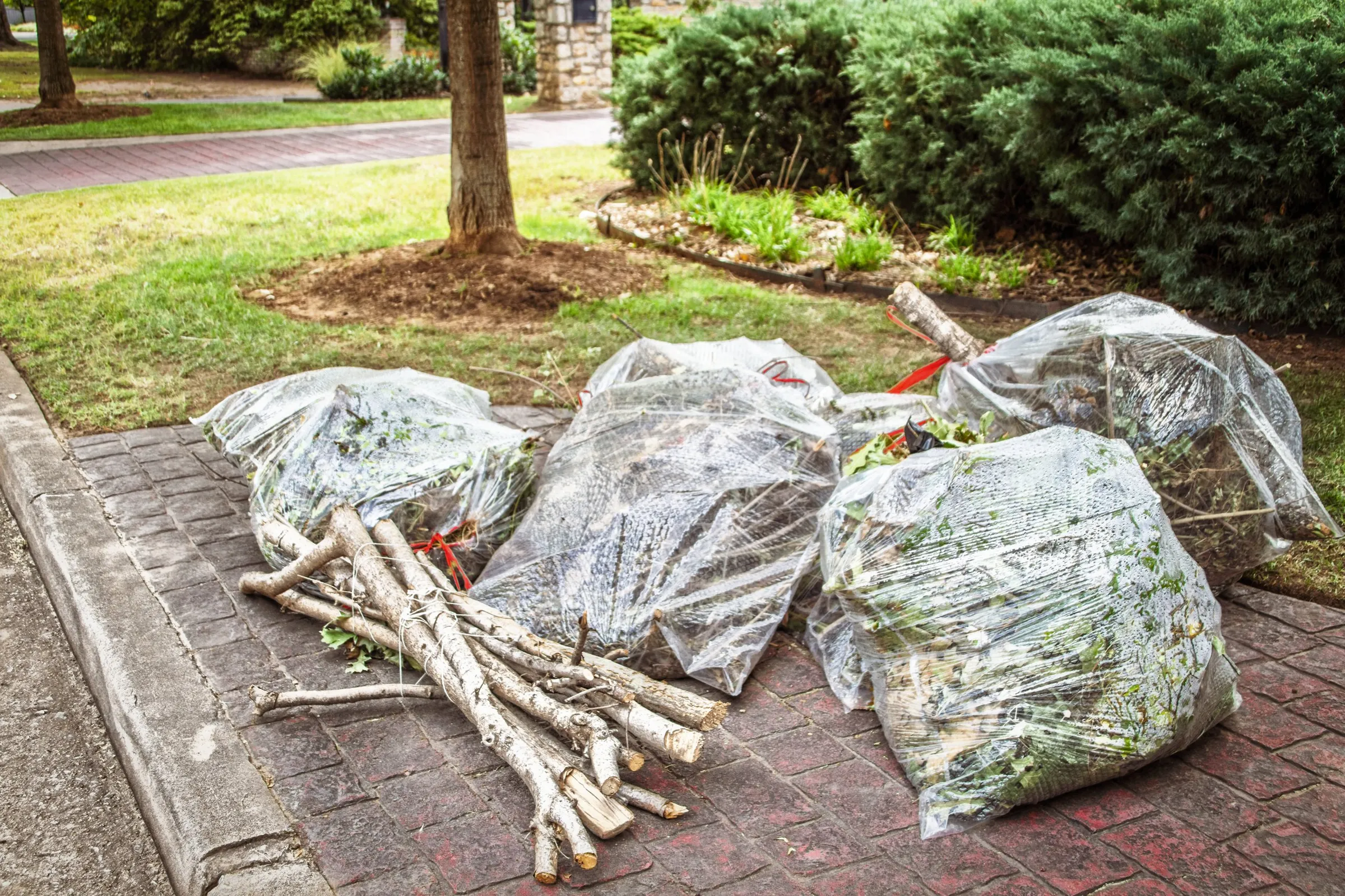 Clear bags stuffed with yard clippings and a bundle of cut branches waiting on a brick curb